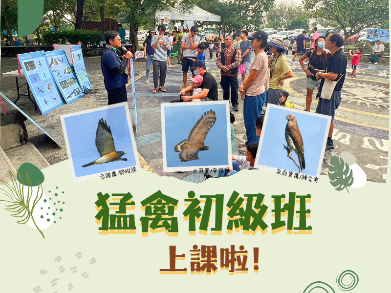 【8月】114年猛禽初級班